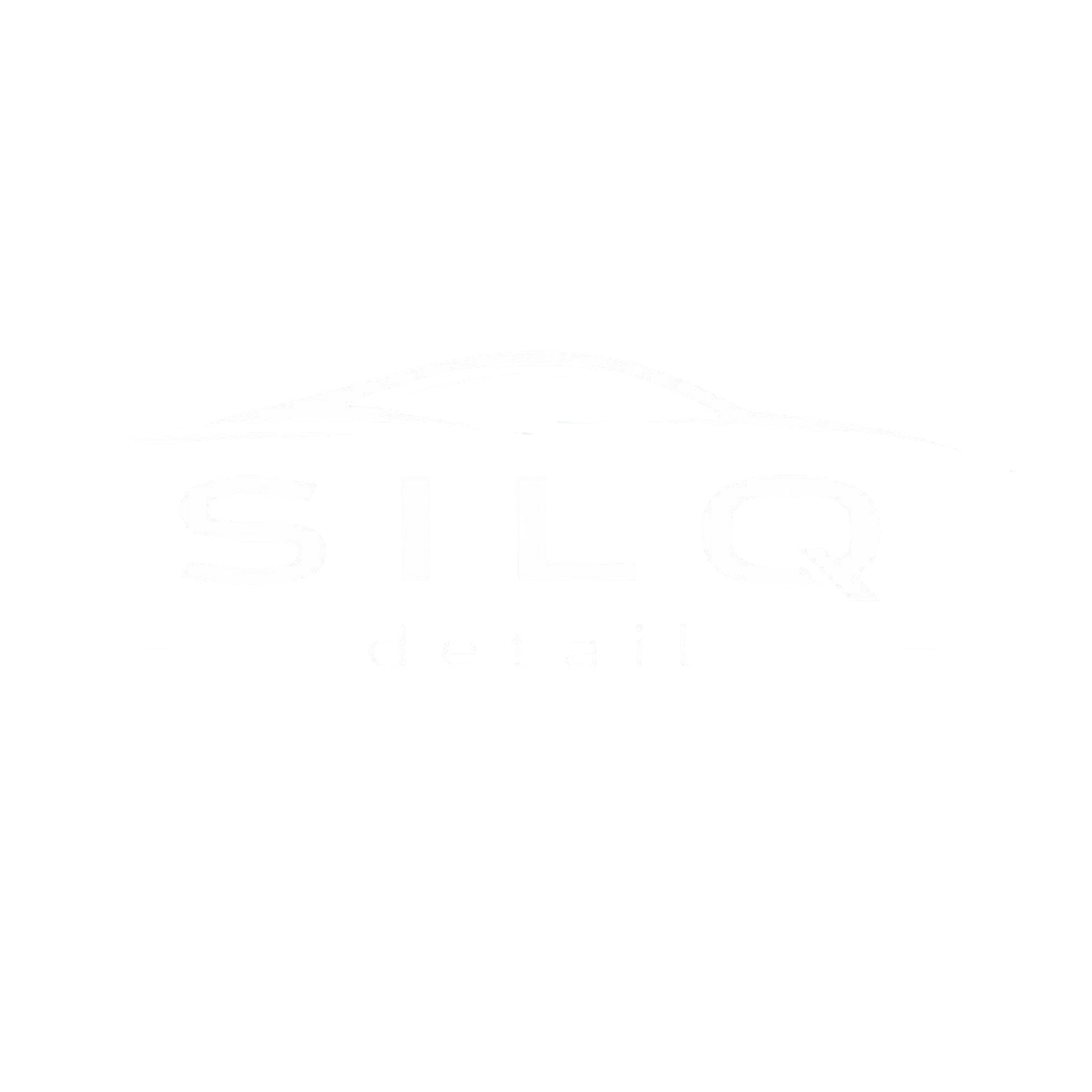 Silq Detail